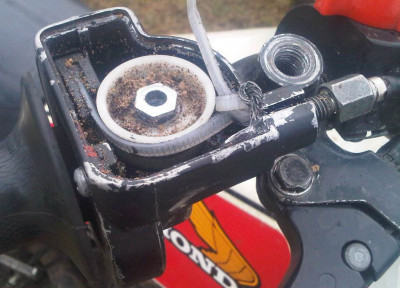 Gasz.-Rep. IMG04038-20120407-1547 - Klein.jpg